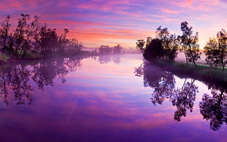 landscape, Lake, Tree, Sunlight, Sunshine, Tree, Forest, Pink HD Wallpaper Desktop Background