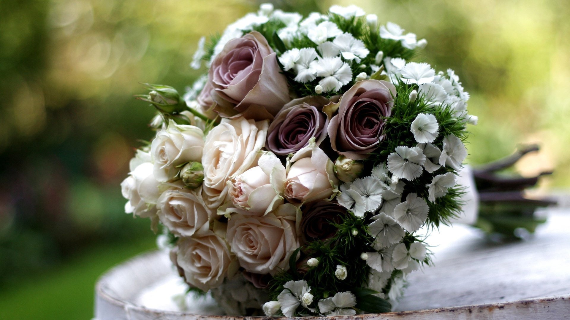 flower, Nature, Plant, Beautiful, Colorful, Flowers Wallpaper