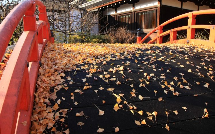 landscapes, Autumn,  season , Shrine, Maple, Leaf HD Wallpaper Desktop Background