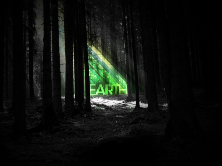 nature, Earth, Sunlight, Dark, Forest HD Wallpaper Desktop Background