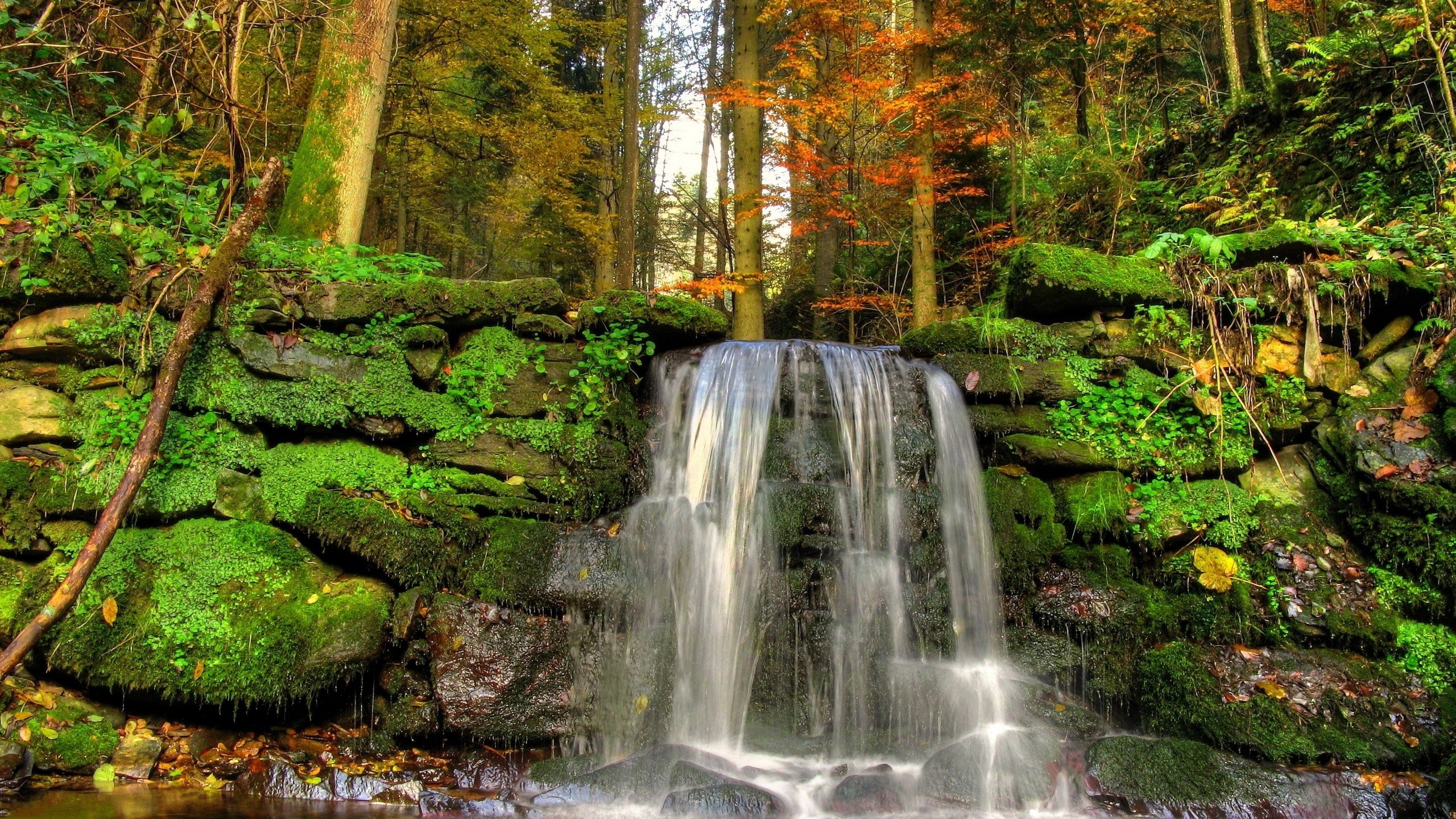 landscapes, Nature, Stones, Falls, Moss, Vegetation Wallpaper