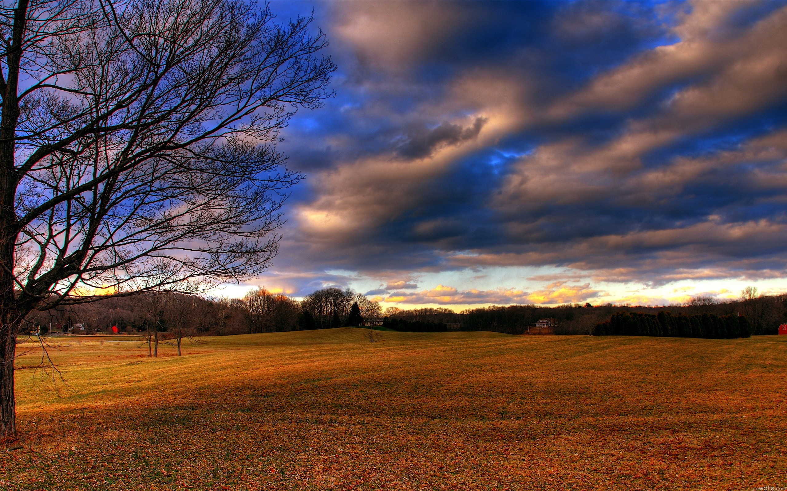 nature Wallpaper
