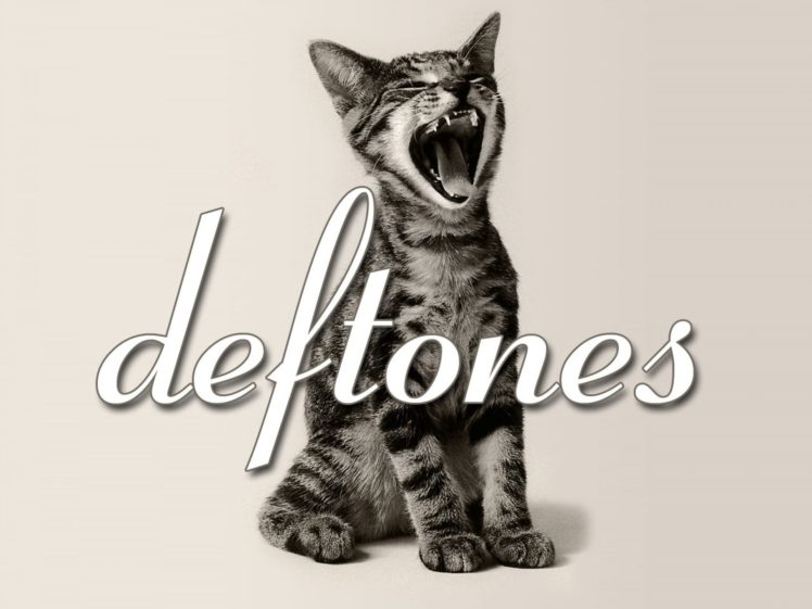 deftones, Alternative, Metal, Experimental, Rock, Nu metal, Heavy, Hard, Cat, Kitten HD Wallpaper Desktop Background