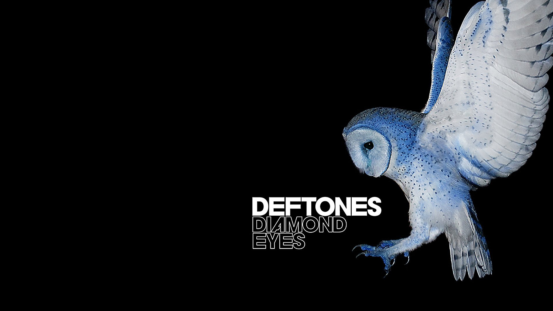 deftones, Alternative, Metal, Experimental, Rock, Nu metal, Heavy, Hard, Owl Wallpaper