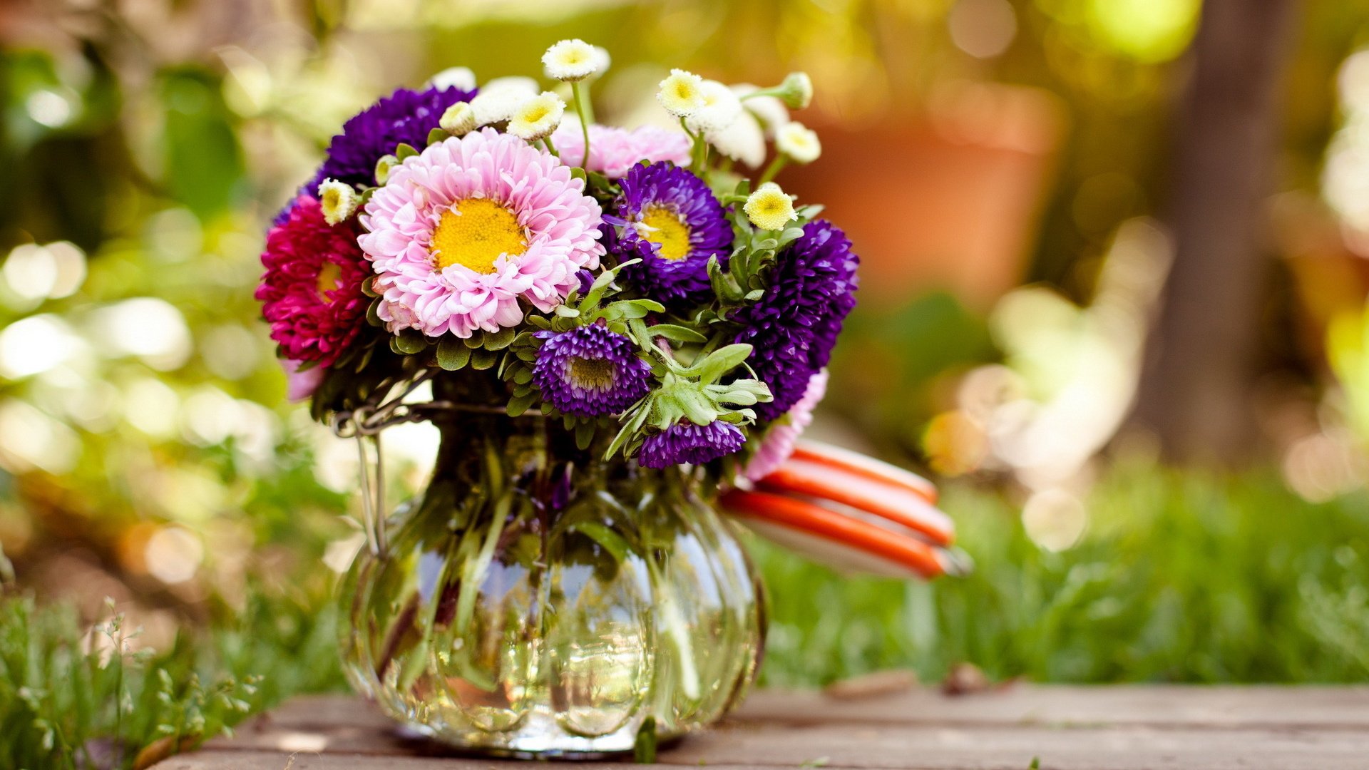 flower, Nature, Plant, Beautiful, Colorful, Flowers Wallpaper