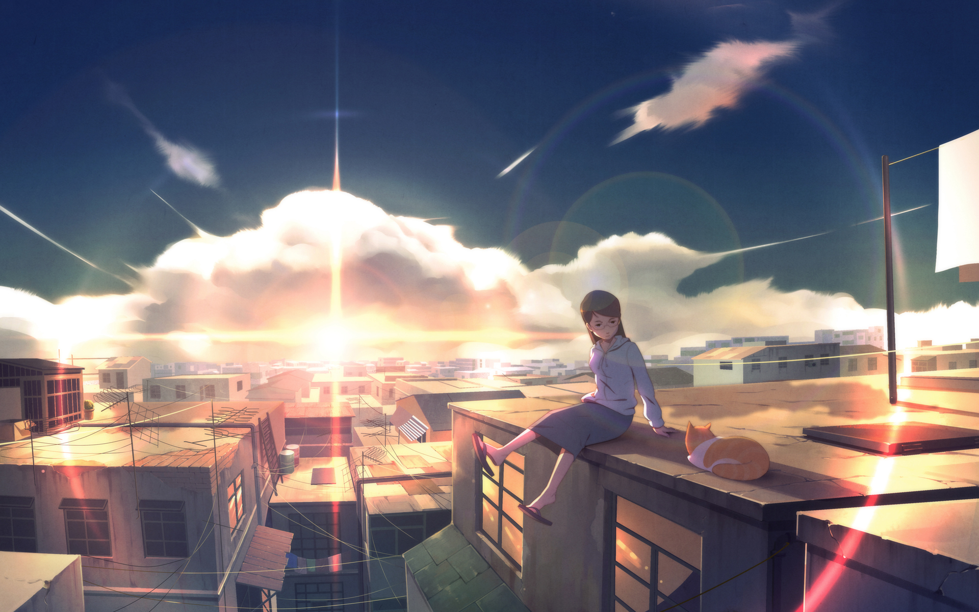animal, Cat, City, Clouds, Glasses, Original, Scenic, Skirt, Sky, Sunset, Wack Wallpaper