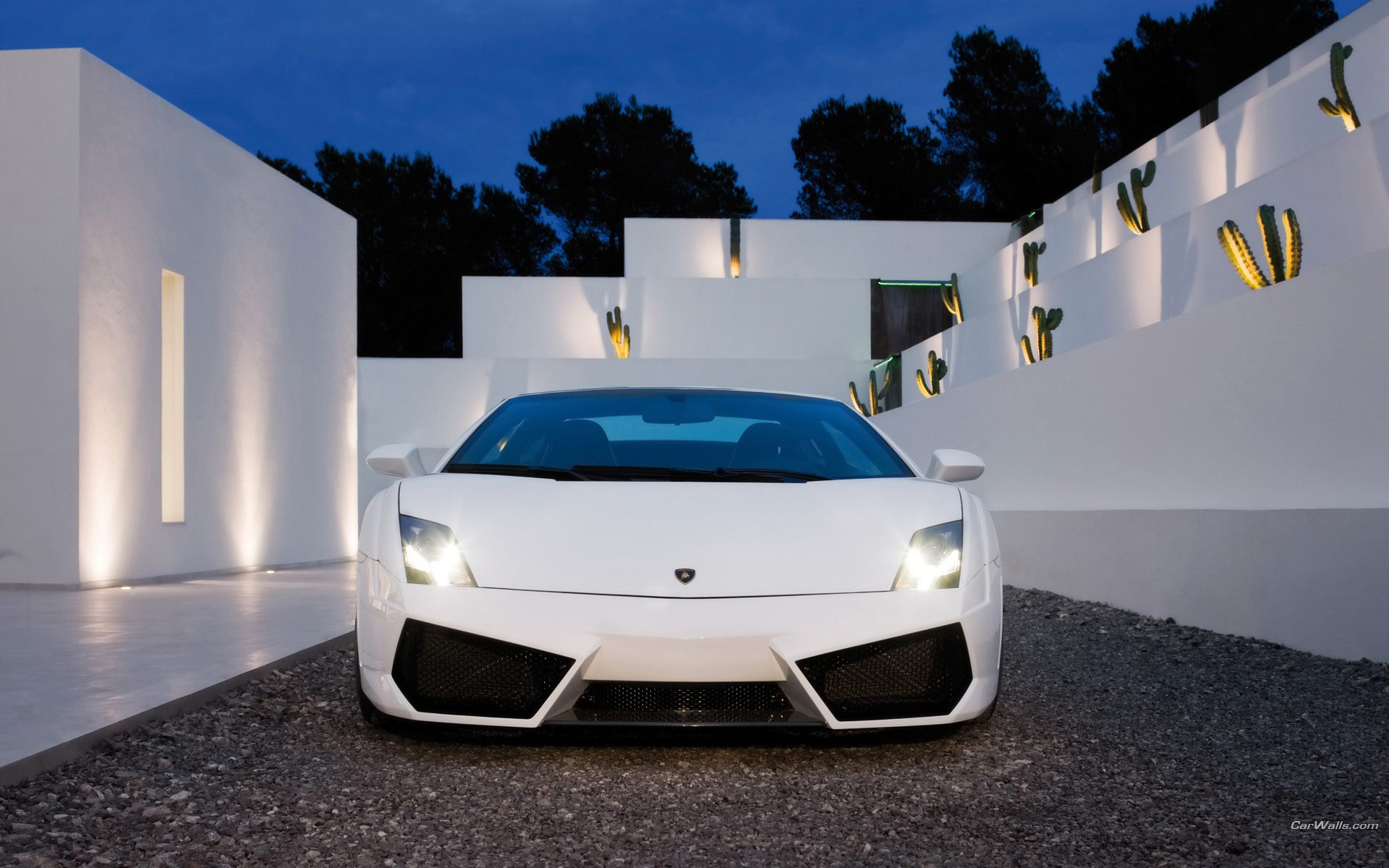 cars, Lamborghini, Sema Wallpaper