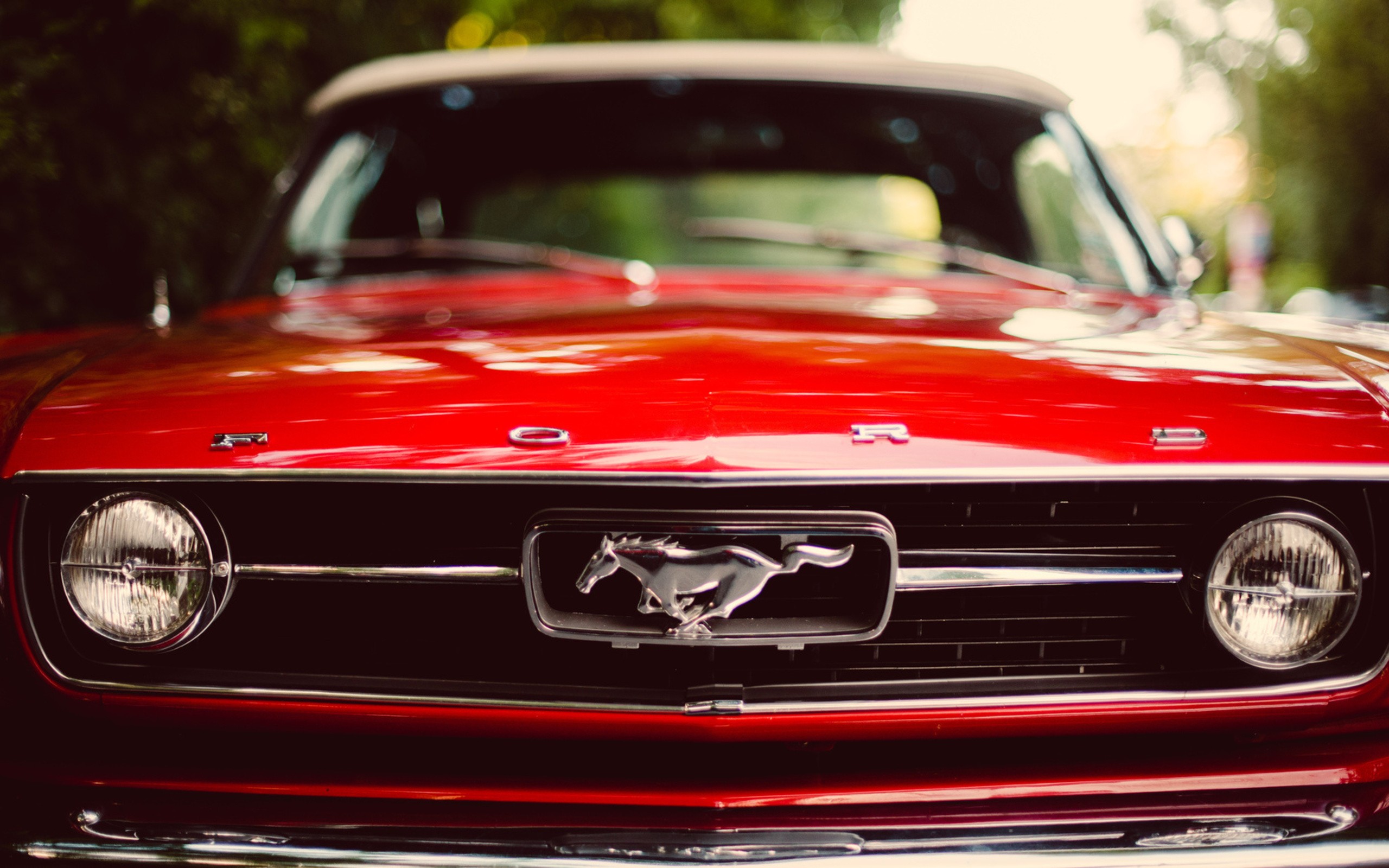 cars, Ford, Mustang Wallpaper