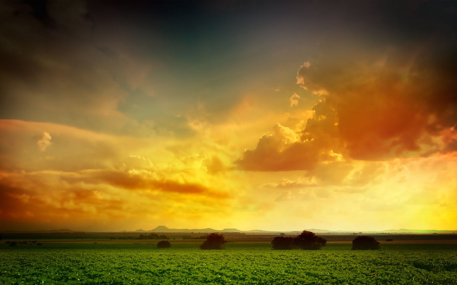 sunset Wallpaper