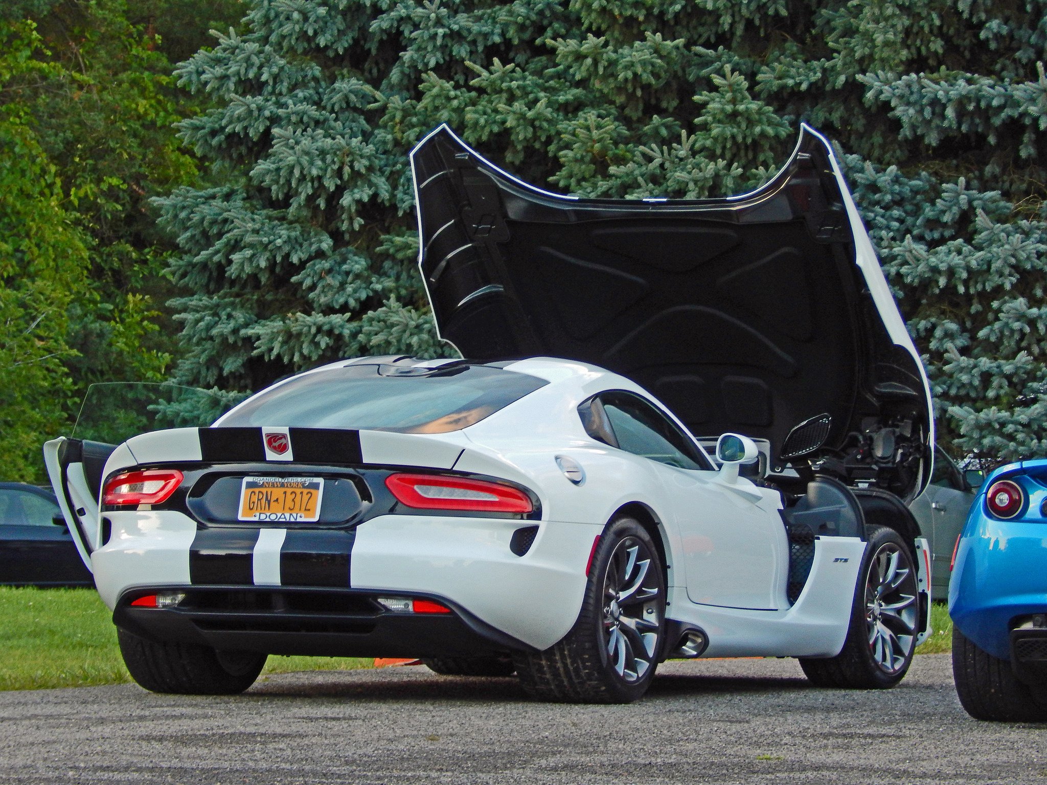 dodge, Gts, Muscle, Srt, Supercar, Viper, Cars, Usa, White Wallpaper