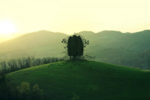 green, Mountain, Tree, Forest, Lanscape