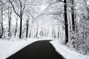 winter, Road, Tree, Beautiful, Snow