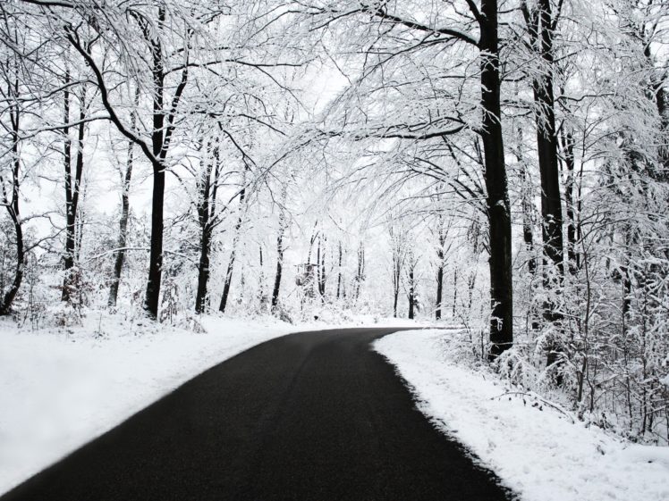 winter, Road, Tree, Beautiful, Snow HD Wallpaper Desktop Background