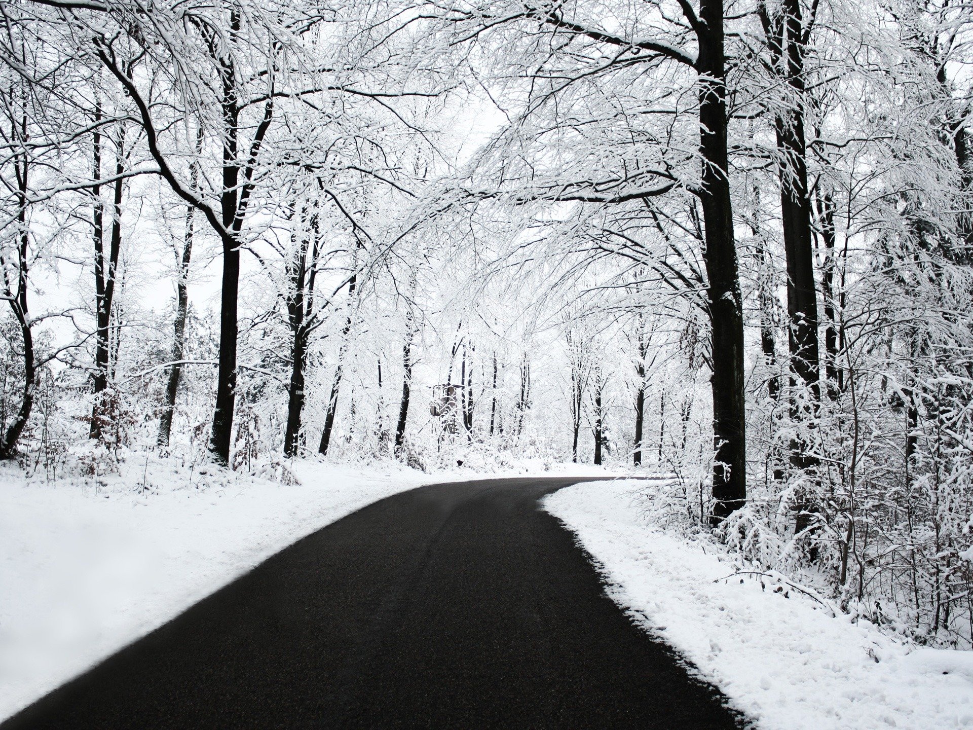 winter, Road, Tree, Beautiful, Snow Wallpaper