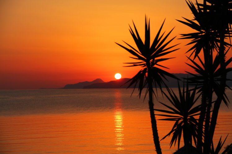 palms, Mountains, Sunset HD Wallpaper Desktop Background