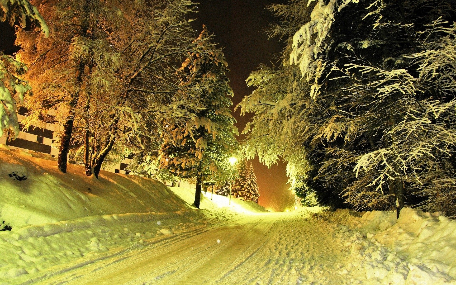 winter, Night, Snow Wallpaper