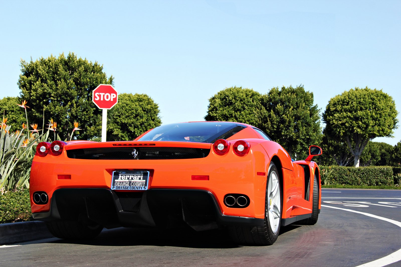 ferrari, Enzo, Supercars, Cars, Italia Wallpaper