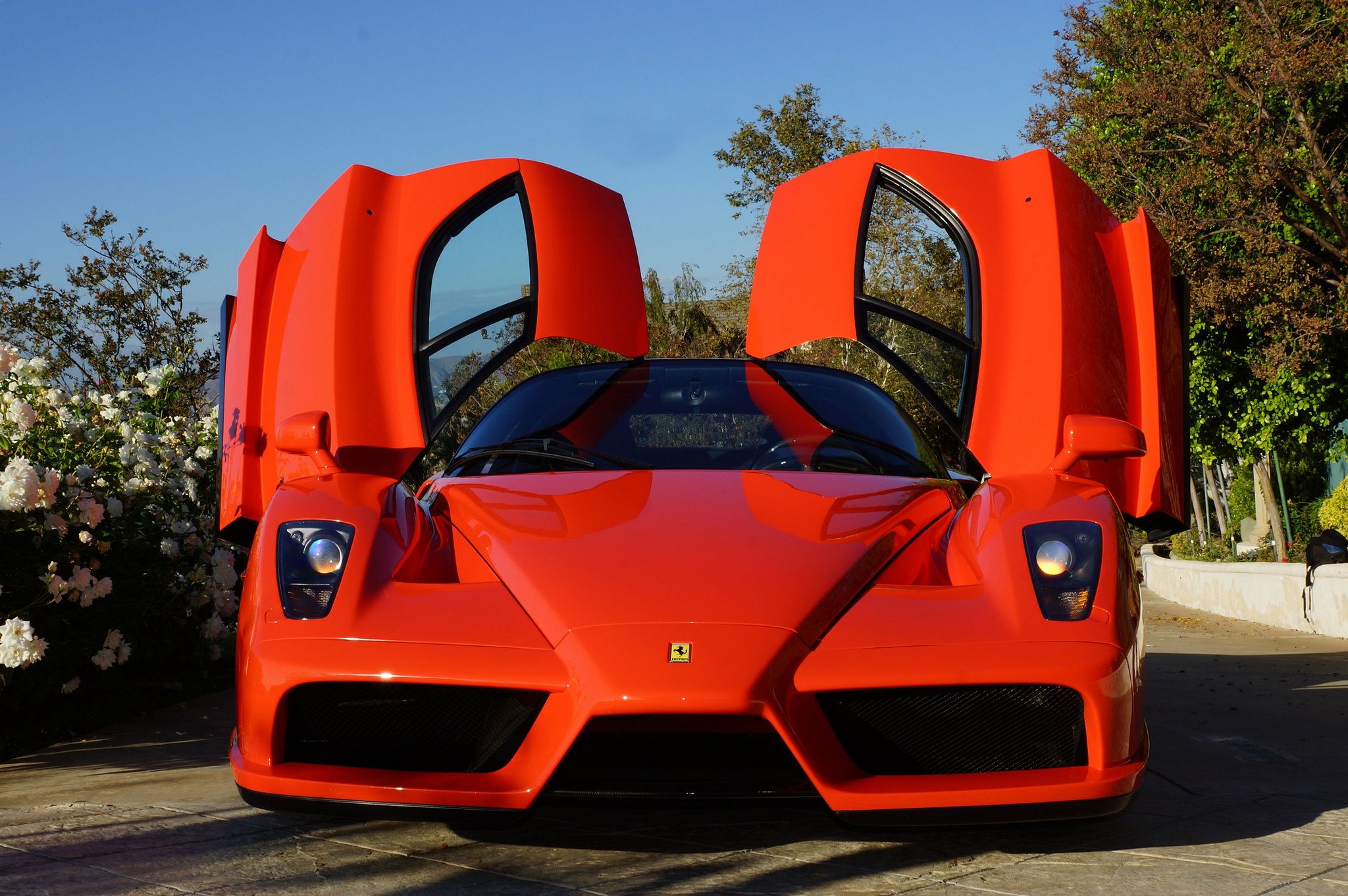 ferrari, Enzo, Supercars, Cars, Italia, Red, Rouge Wallpaper