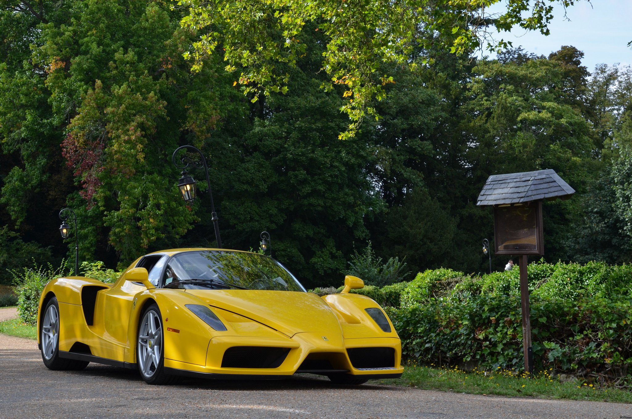 Ferrari Enzo Yellow