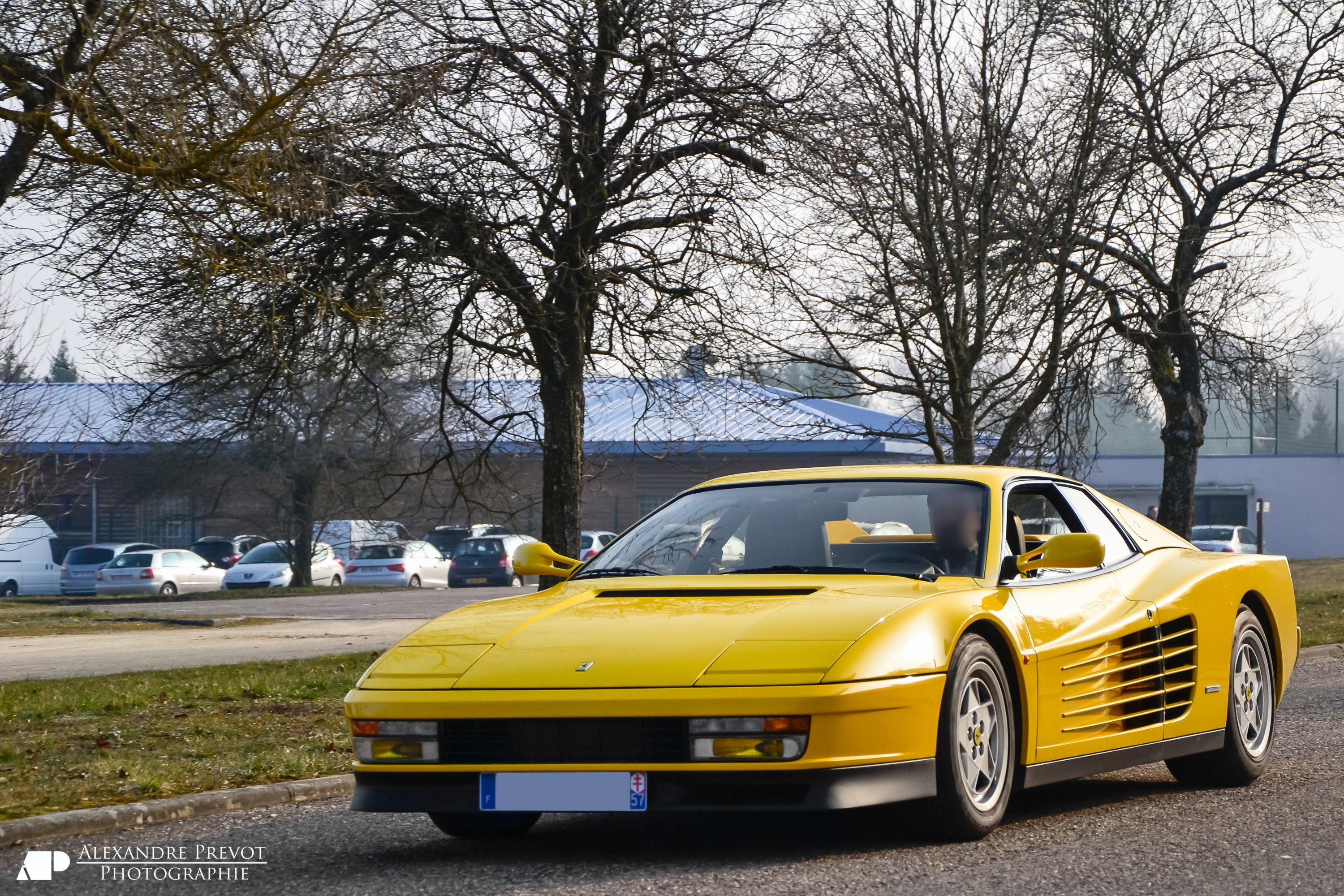ferrari, Testarossa, 512, Tr, F512, M, Supercars, Cars, Italia, Jaune, Yellow Wallpaper