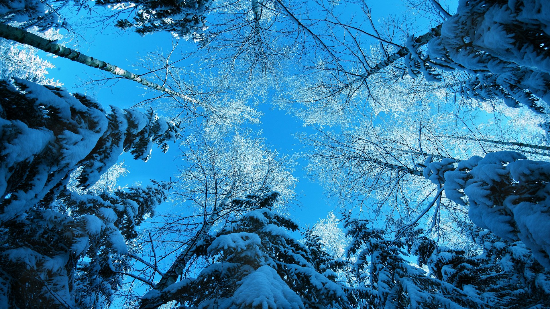 winter, Snow Wallpaper