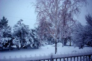 winter, Snow, Fence