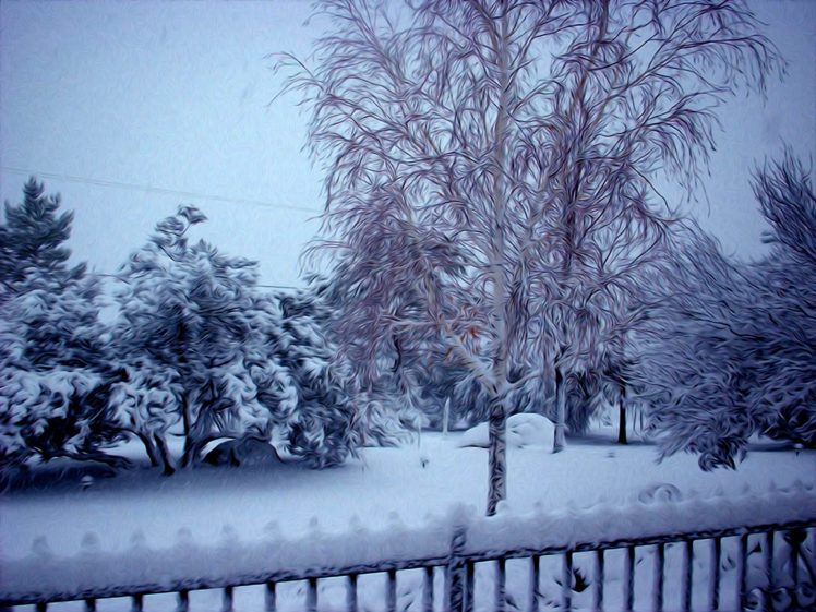 winter, Snow, Fence HD Wallpaper Desktop Background
