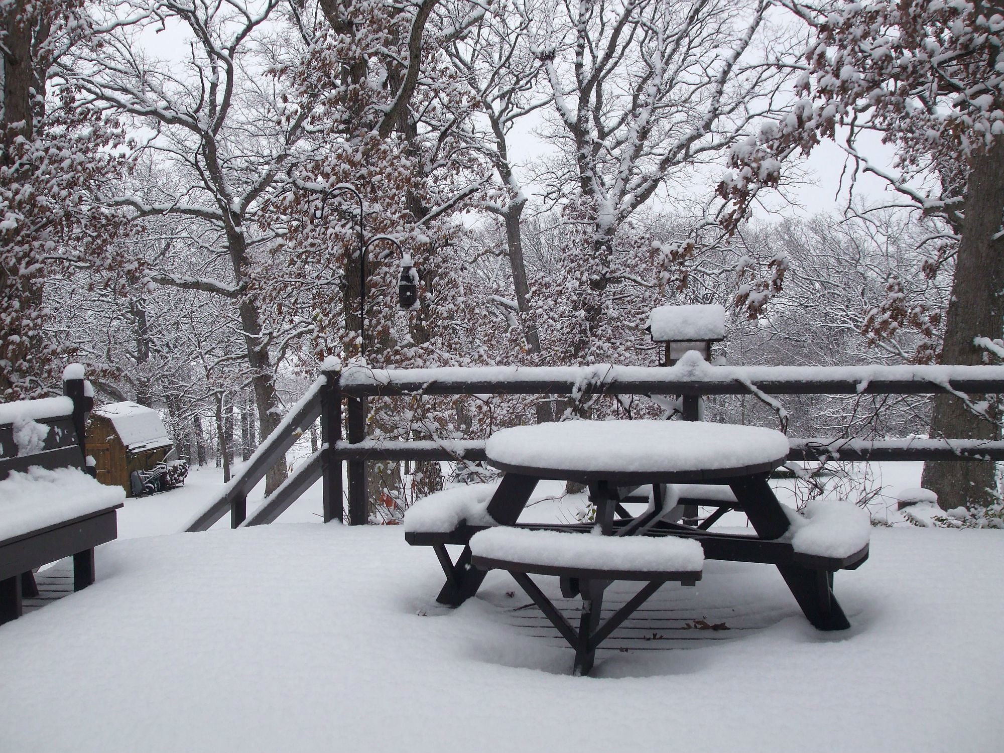 winter, Snow Wallpaper