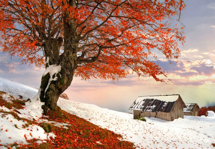 winter, Snow, Autumn, Farm, Rustic HD Wallpaper Desktop Background