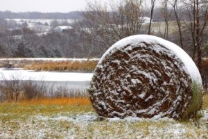 winter, Snow, Hay, Farm, Rustic