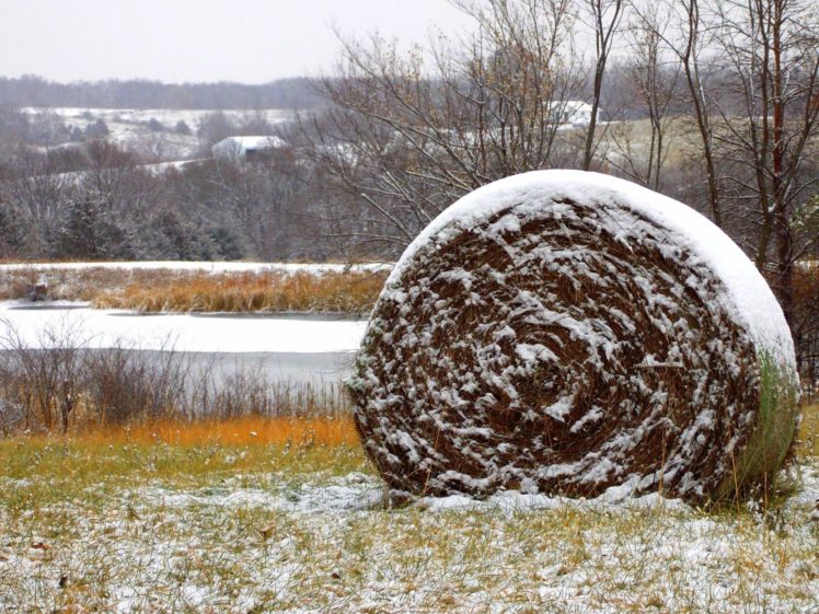 winter, Snow, Hay, Farm, Rustic HD Wallpaper Desktop Background