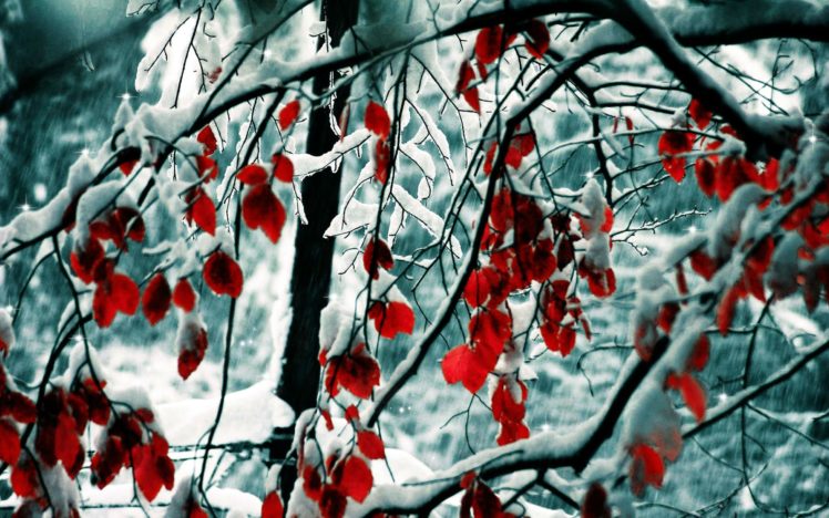 winter, Snow, Autumn HD Wallpaper Desktop Background