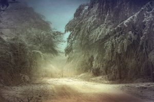winter, Snow, Forest, Road