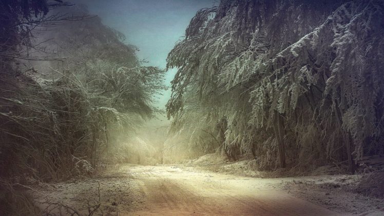 winter, Snow, Forest, Road HD Wallpaper Desktop Background