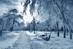 winter, Snow, Park, Bench