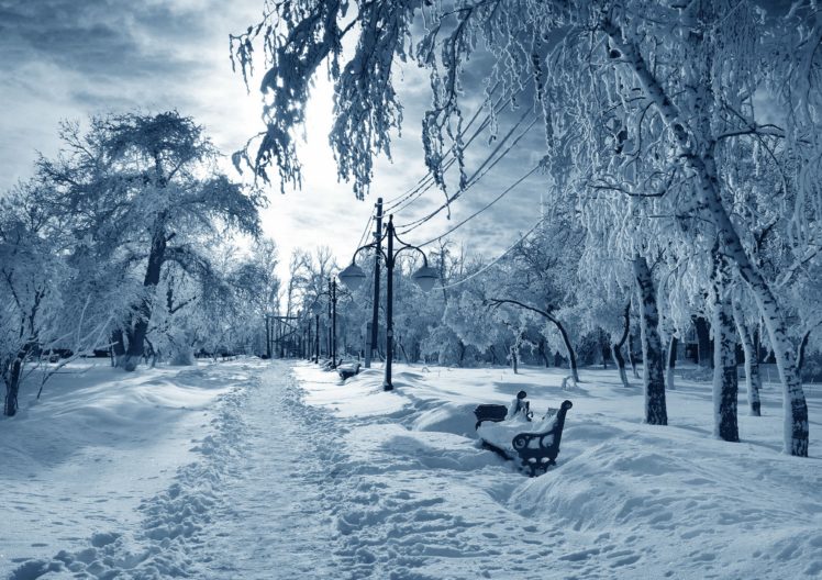 winter, Snow, Park, Bench HD Wallpaper Desktop Background