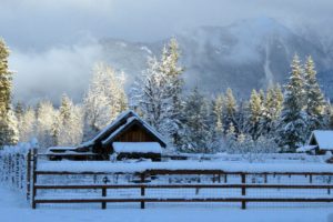 winter, Snow, Farm, Rustic, Landscape