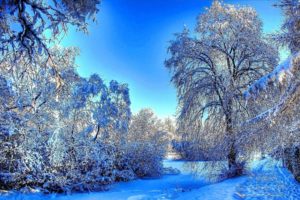 winter, Snow, River, Forest