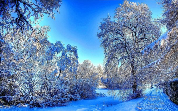 winter, Snow, River, Forest HD Wallpaper Desktop Background