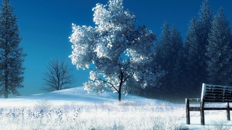 winter, Snow HD Wallpaper Desktop Background