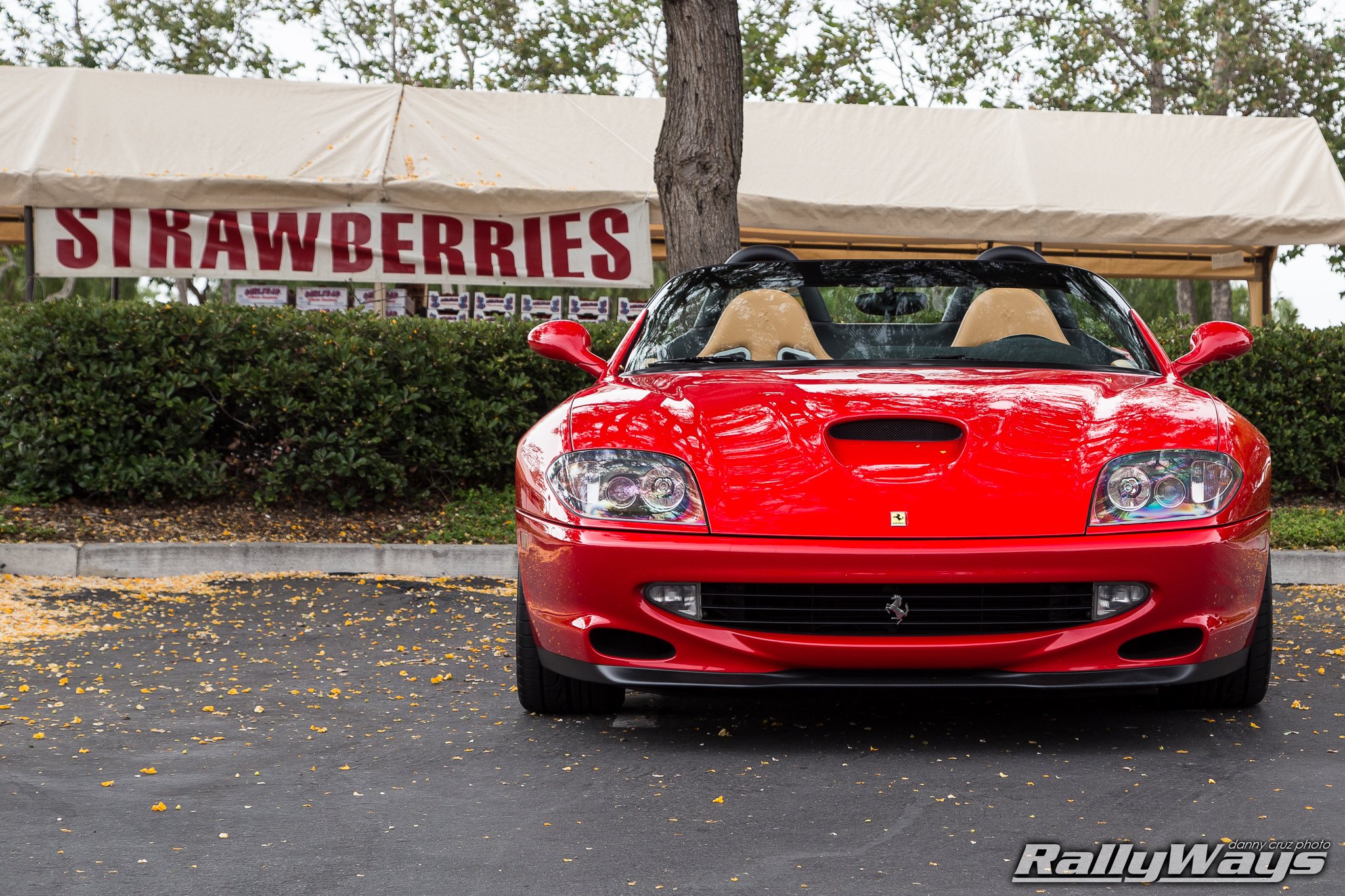 ferrari, 550, Barchetta, Convertible, Cars, Italia, Red, Rouge, Rosso Wallpaper