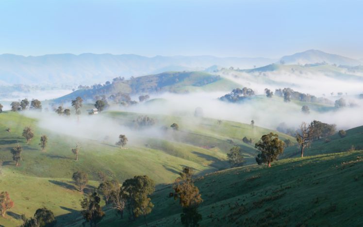 trees, Hills, Fog, Countryside, Sunny HD Wallpaper Desktop Background
