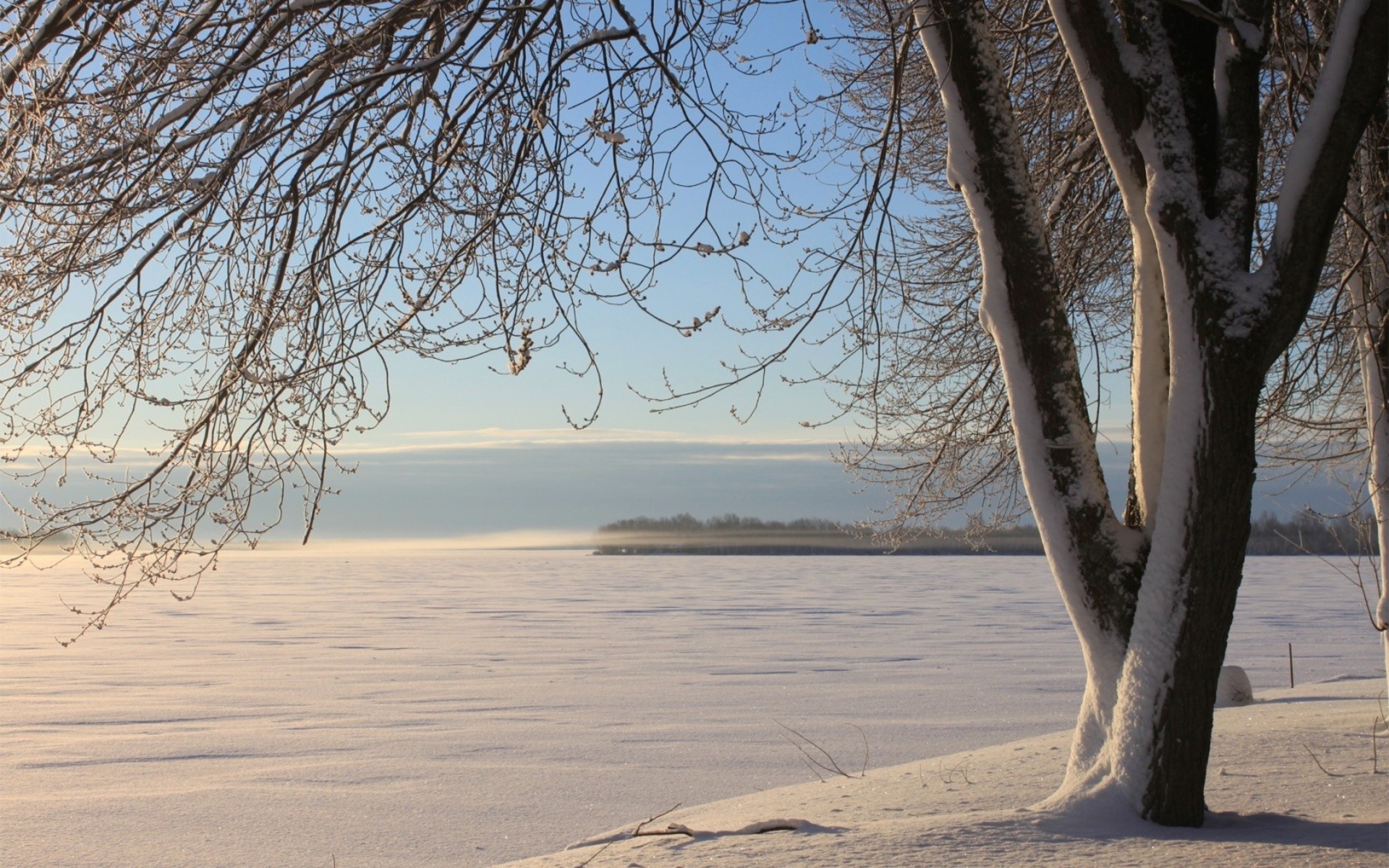 nature Wallpaper
