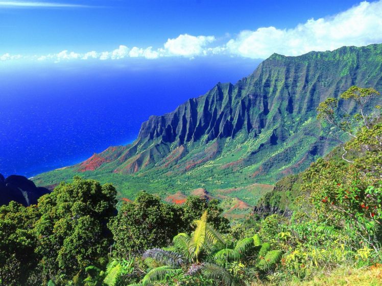landscapes, Nature, Hawaii HD Wallpaper Desktop Background
