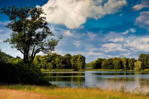 water, Clouds, Landscapes, Nature, Trees, Lakes