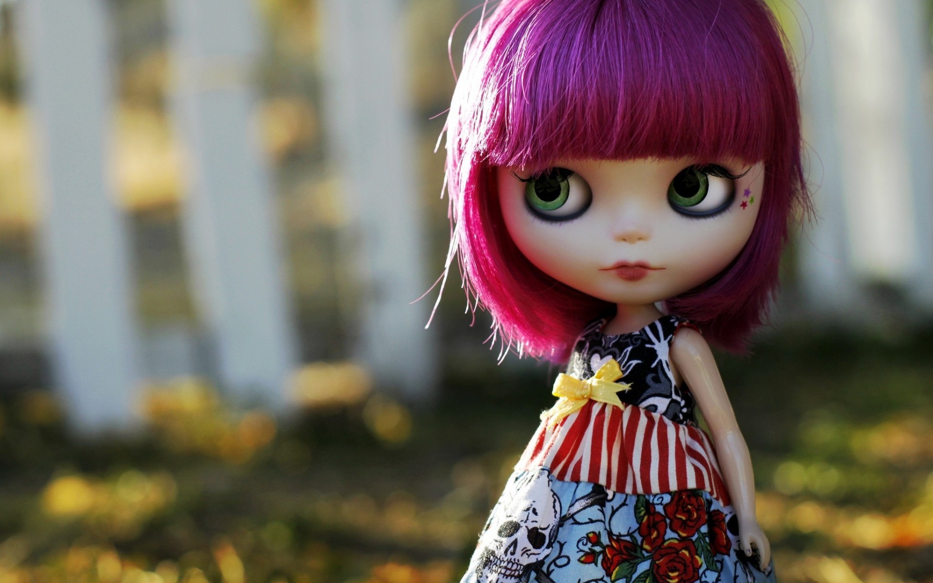 doll, Hair, Violet, Eyes, Dress, Skull, Roses, Face, Mood, Girl, Female Wallpaper