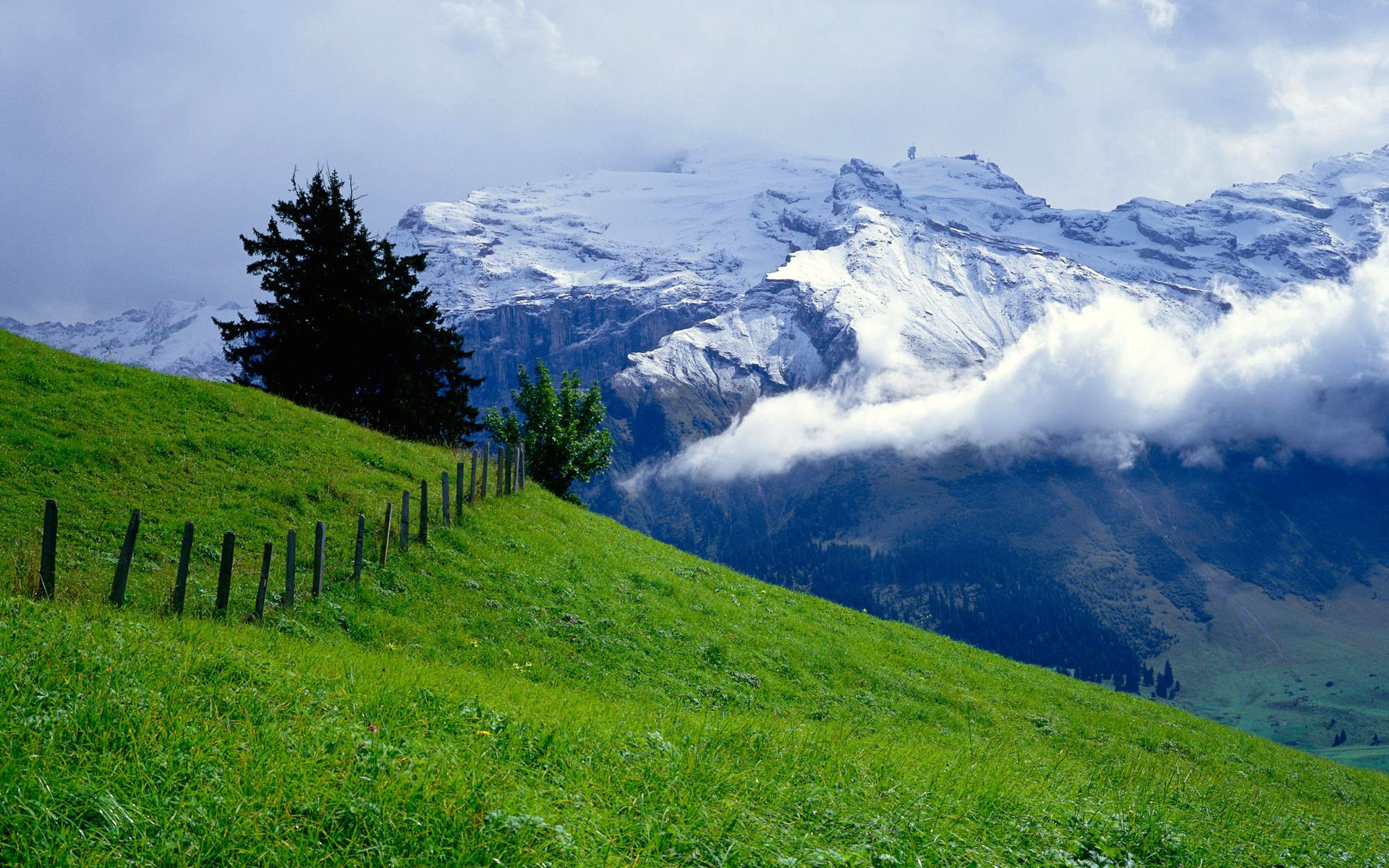 green, Over, Clouds Wallpaper