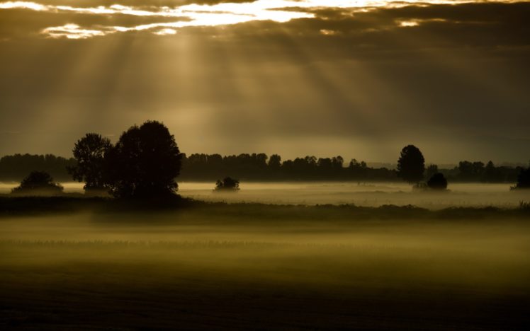 field, Fog, Night, Landscapes, Trees, Mist, Sky, Clouds, Sunlight, Rays, Sunset, Sunrise HD Wallpaper Desktop Background
