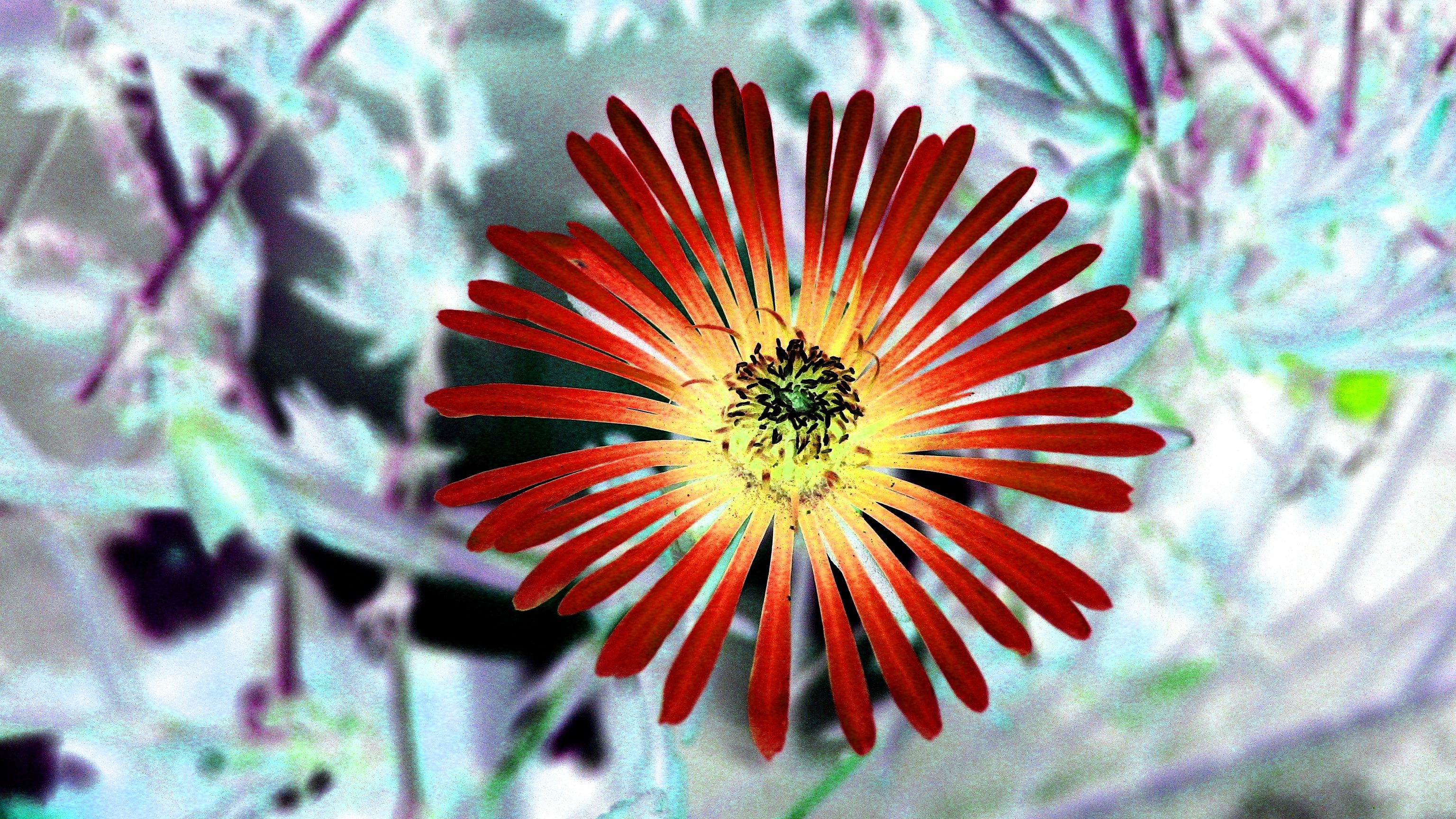 557865 Wallpapers HD / Desktop and Mobile Backgrounds