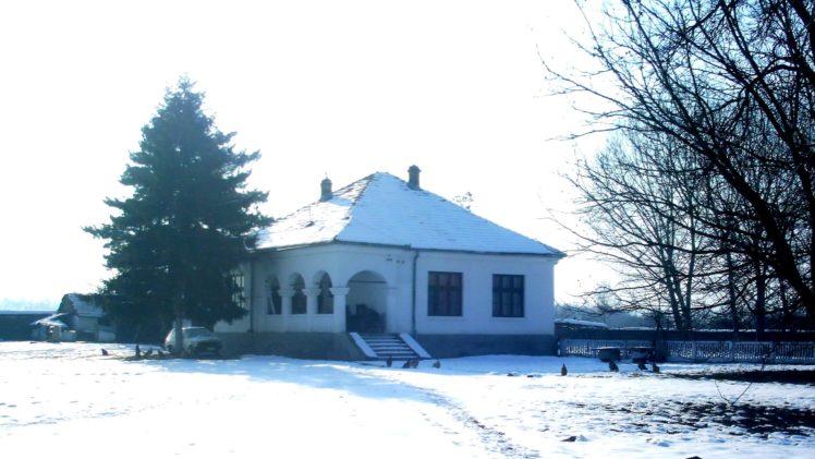 557866 HD Wallpaper Desktop Background